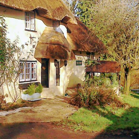 The Crown Inn Alvediston Kültér fotó