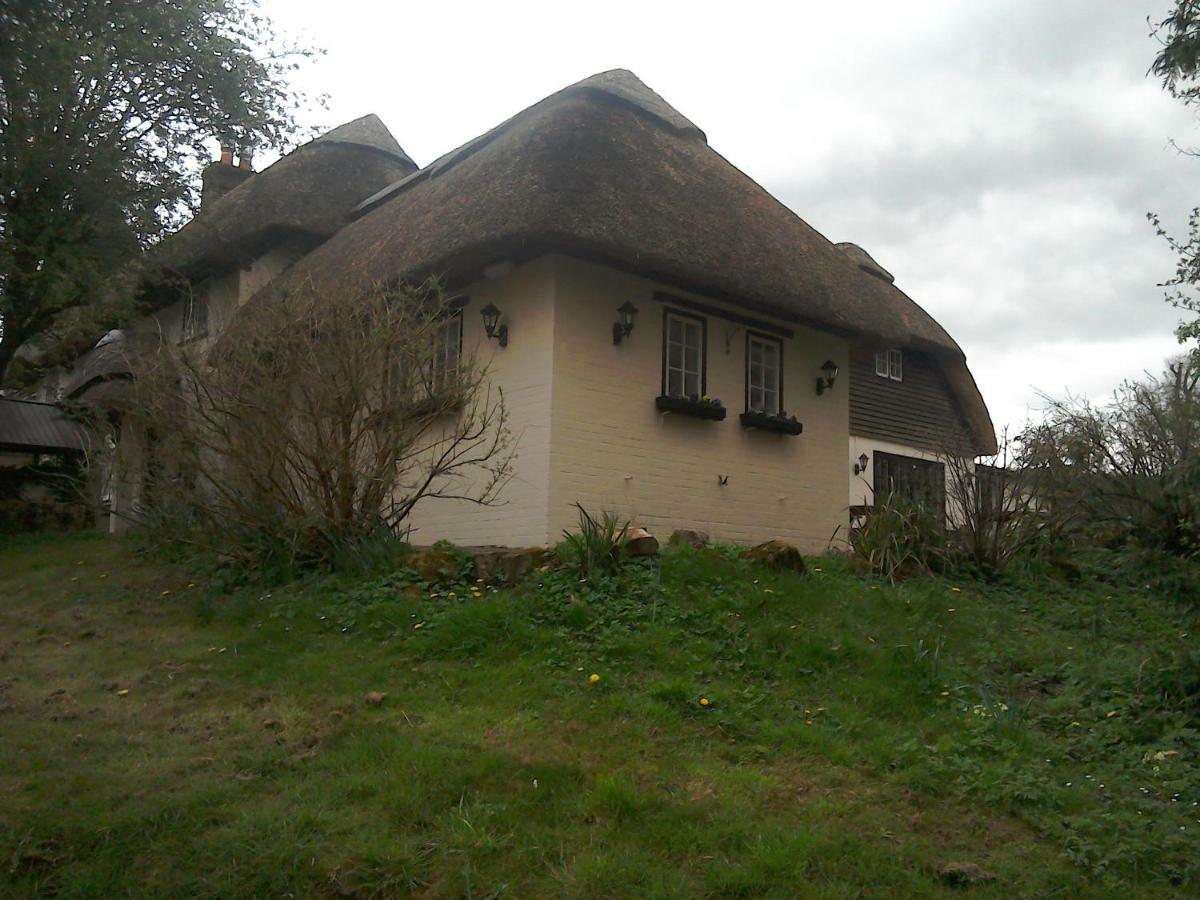 The Crown Inn Alvediston Kültér fotó
