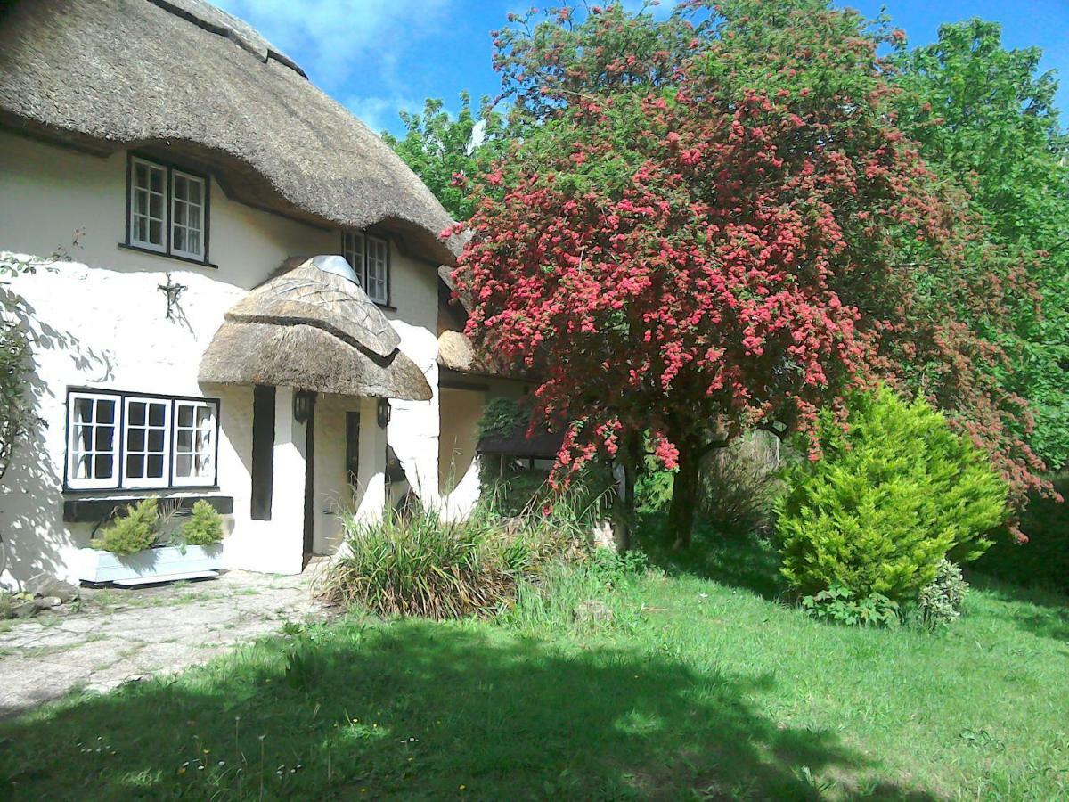 The Crown Inn Alvediston Kültér fotó